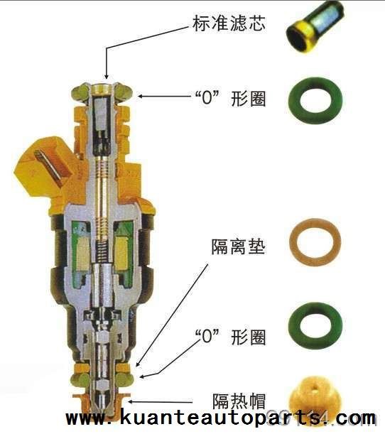 fuel injector structure